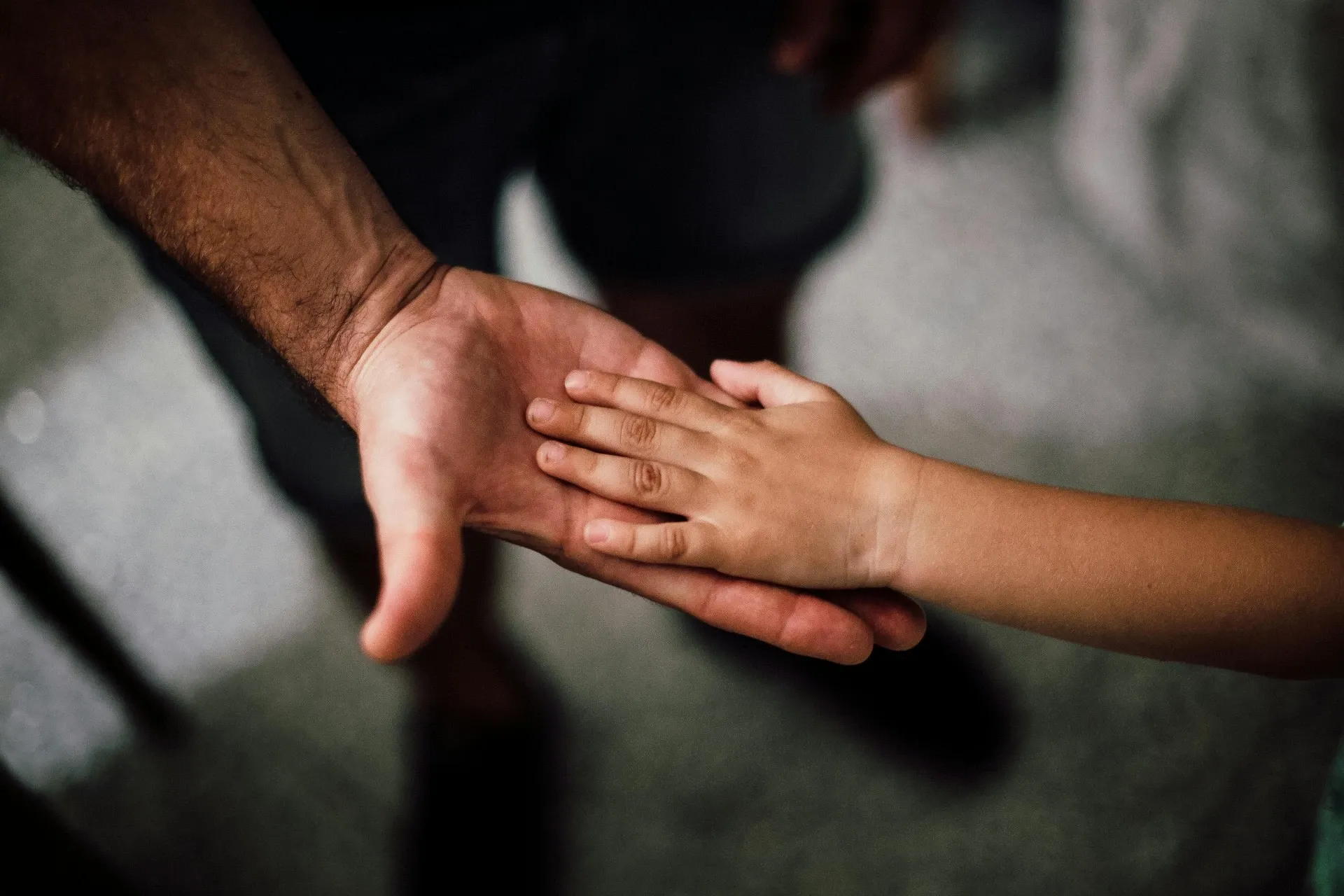 Per chi deve gestire una successione patrimoniale